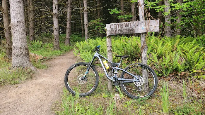 Rocky Point Mountain Bike Trail Network Picture 5