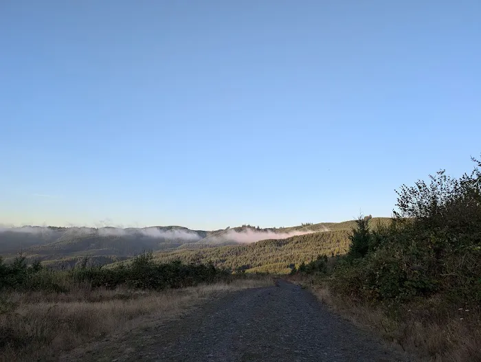 Rocky Point Mountain Bike Trail Network Picture 10