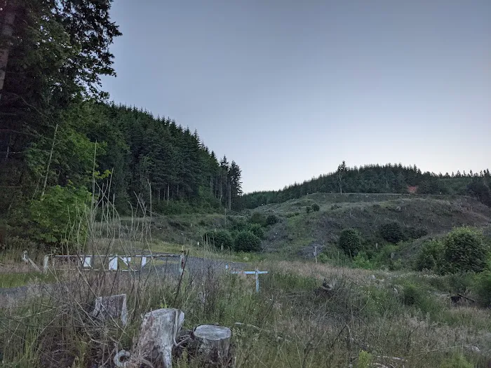 Rocky Point Mountain Bike Trail Network Picture 9