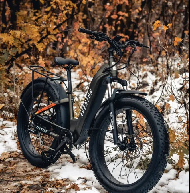 Voltage Bikes Picture 3