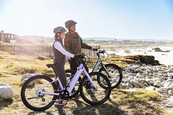 Voltage Bikes Picture 2