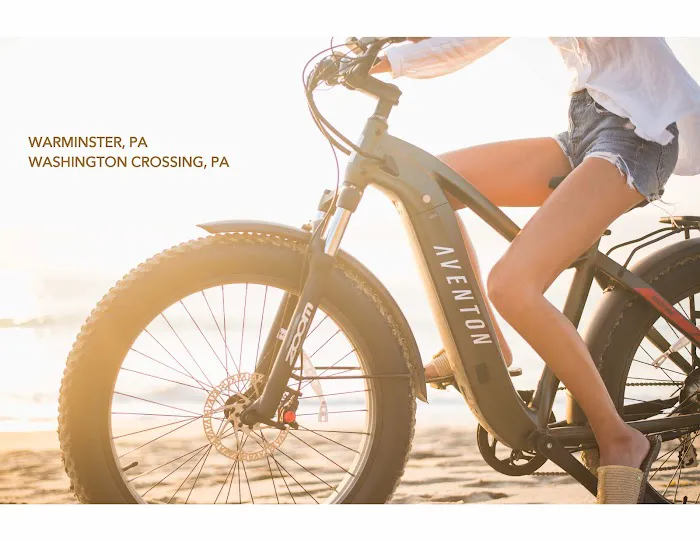 Voltage Bikes Picture 7
