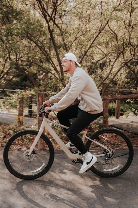 Voltage Bikes Picture 6