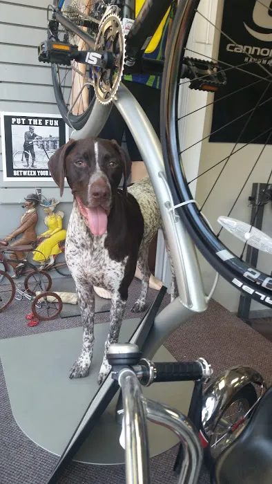 Scooter's Bike Shop Picture 6