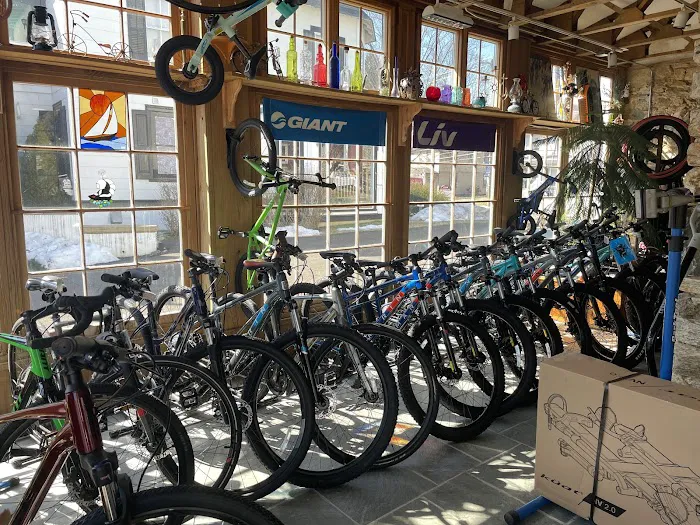 Circle Cycle Bike Shop Picture 3
