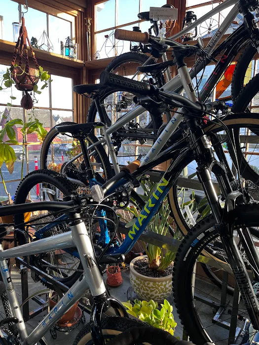 Circle Cycle Bike Shop Picture 6