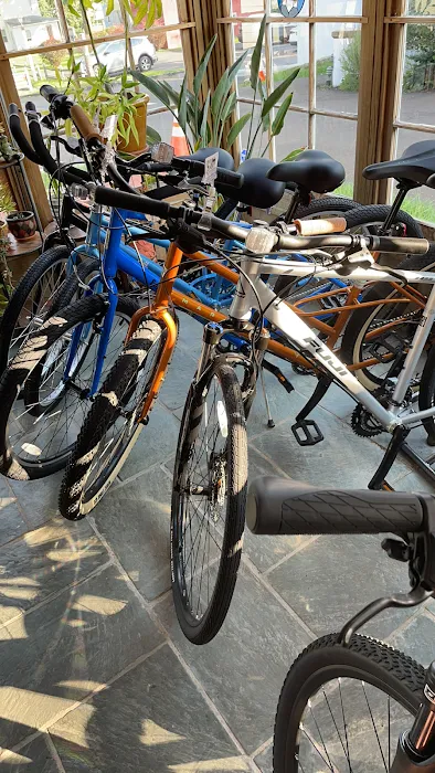 Circle Cycle Bike Shop Picture 8
