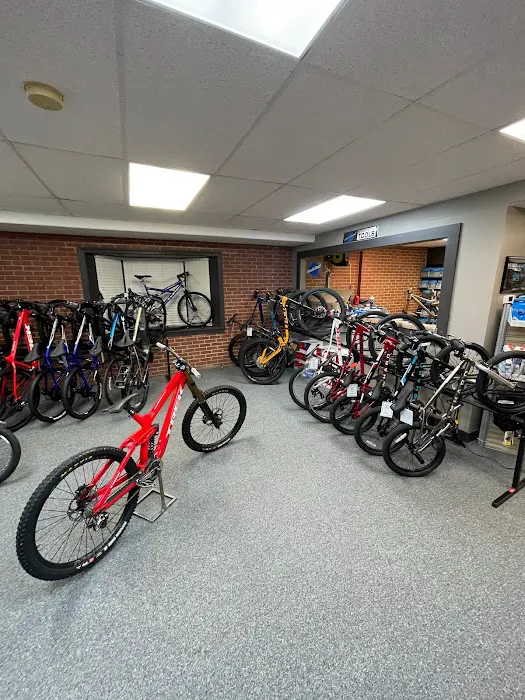 Giant Brandywine Bikes Picture 2