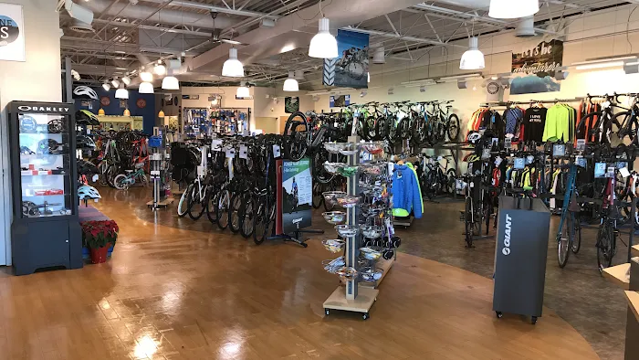 Trek Bicycle Wilmington Picture 1