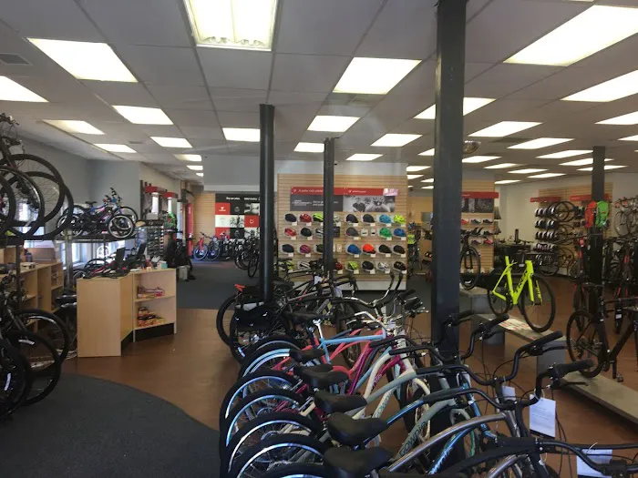Trek Bicycle Wilmington Picture 4