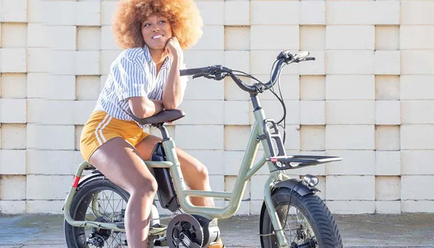 Propel Electric Bikes Picture 10