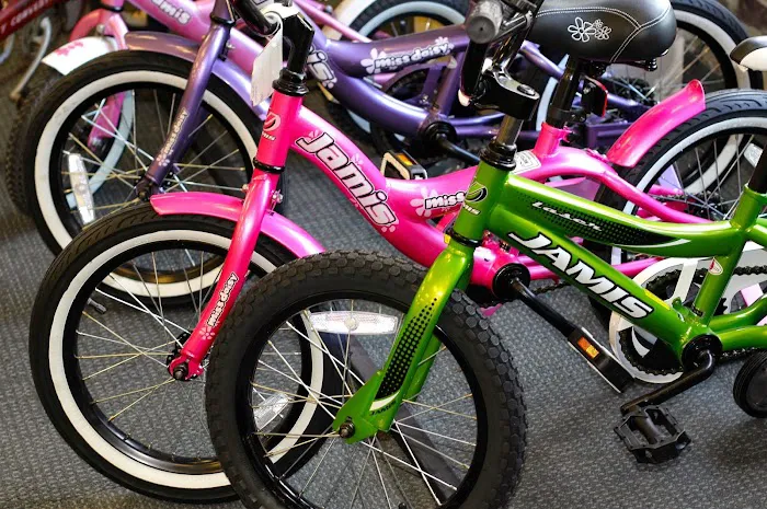 Henry's Bicycle Shop Picture 5