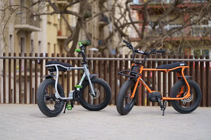 Ruff Cycles Inc. dba Timeless eBikes LLC Picture 2