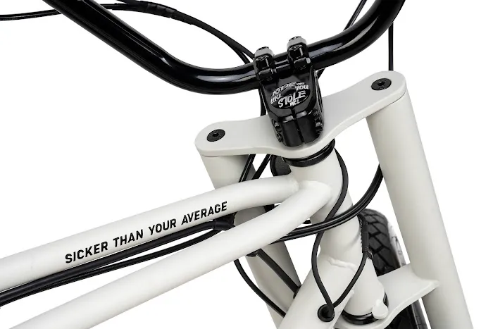 Ruff Cycles Inc. dba Timeless eBikes LLC Picture 1