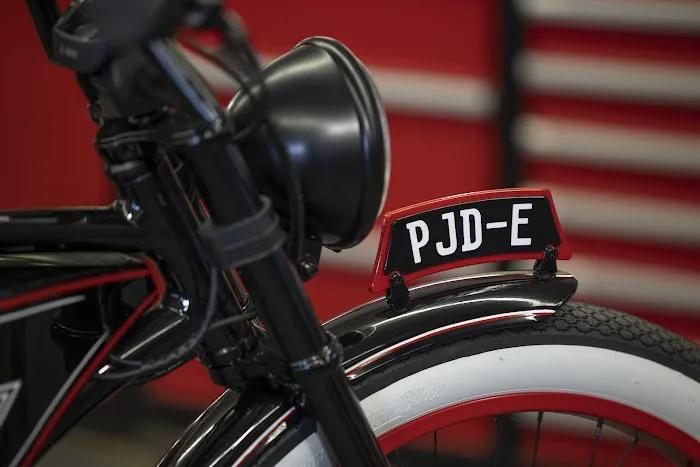 Ruff Cycles Inc. dba Timeless eBikes LLC Picture 7
