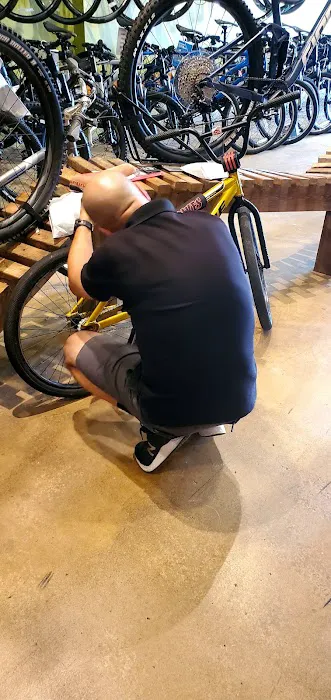 The Caffeinated Cyclist Picture 8
