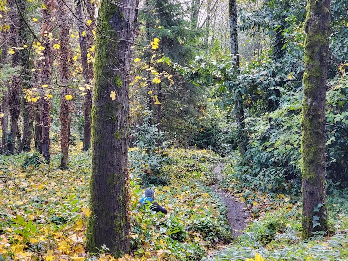 North Sea Tac Mountain Bike Trails Picture 2