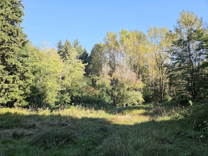 North Sea Tac Mountain Bike Trails Picture 1