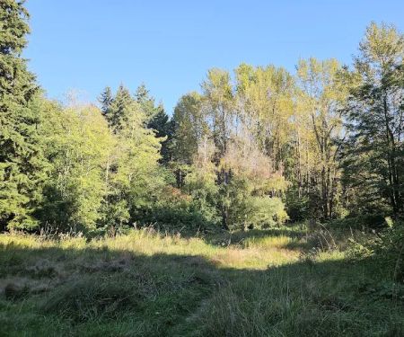 North Sea Tac Mountain Bike Trails