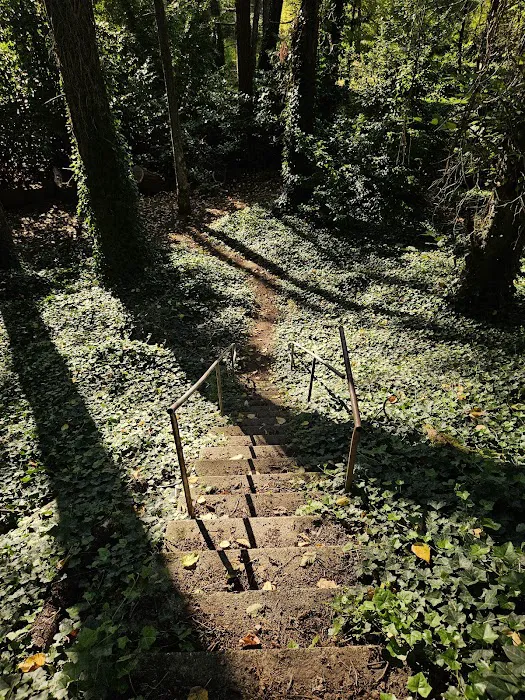 North Sea Tac Mountain Bike Trails Picture 4