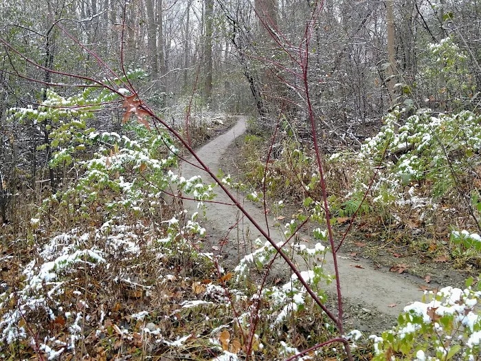 Trail 2-47 Mountain Bike Trail Picture 3