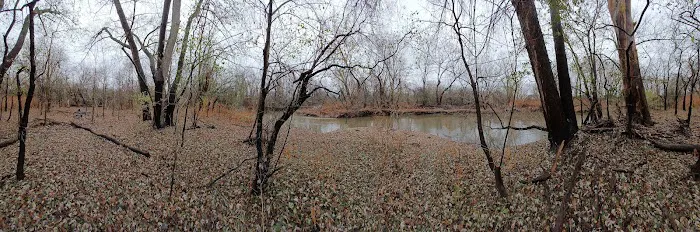 Trail 2-47 Mountain Bike Trail Picture 10