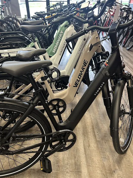 Go Grava Bicycles Picture 3
