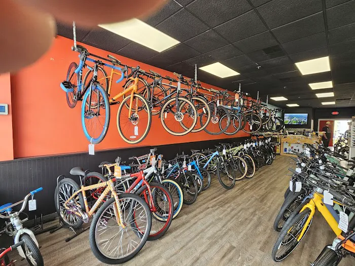 Go Grava Bicycles Picture 10