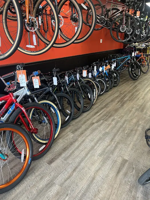 Go Grava Bicycles Picture 8