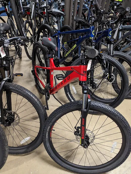 Jason's Bikes Picture 5