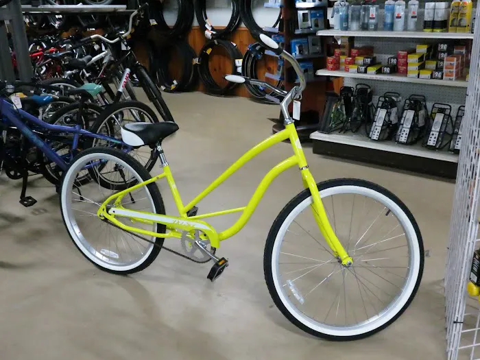 Jason's Bikes Picture 7