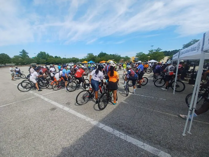 Velo Velo Cycling Club Stadium Picture 7