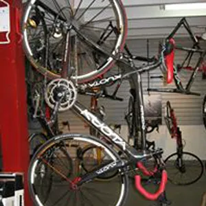 Evolution Pro Bike Shop Picture 5