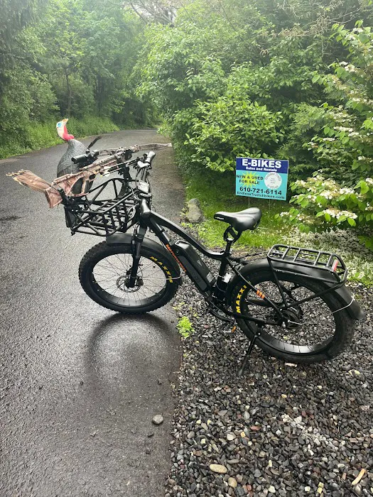Endless Trails E-Bikes Picture 6