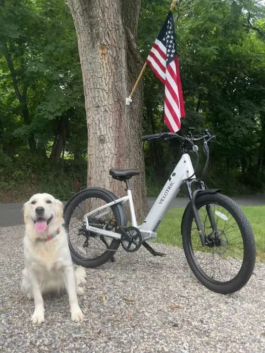 Endless Trails E-Bikes Picture 5
