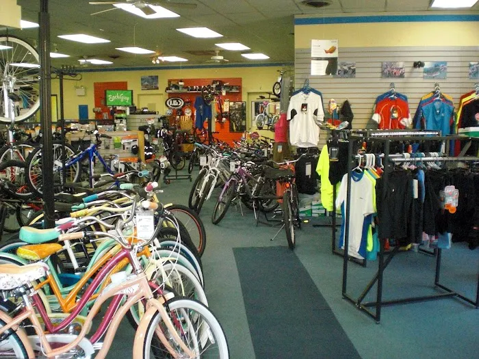 Newtown Bicycle Shop Picture 2