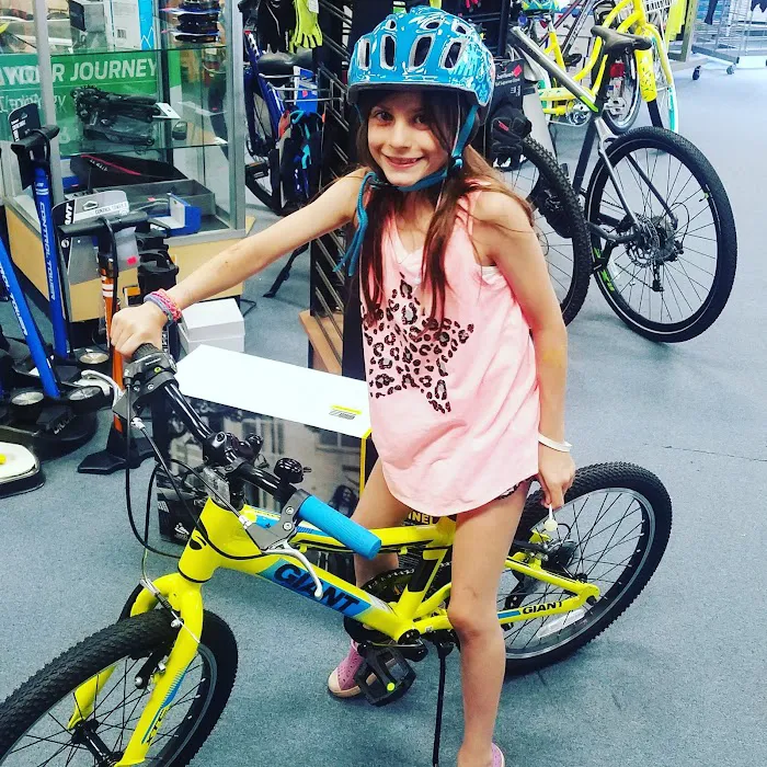 Newtown Bicycle Shop Picture 8