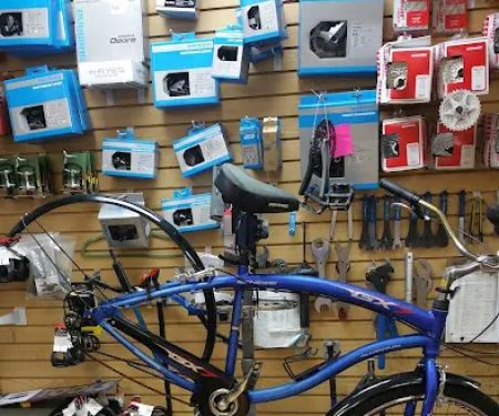 Bustleton Bikes