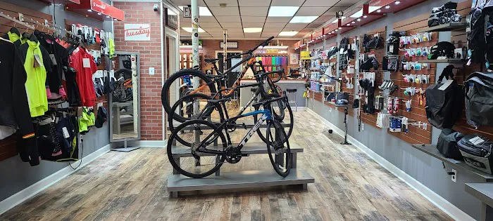 Bustleton Bikes Picture 9