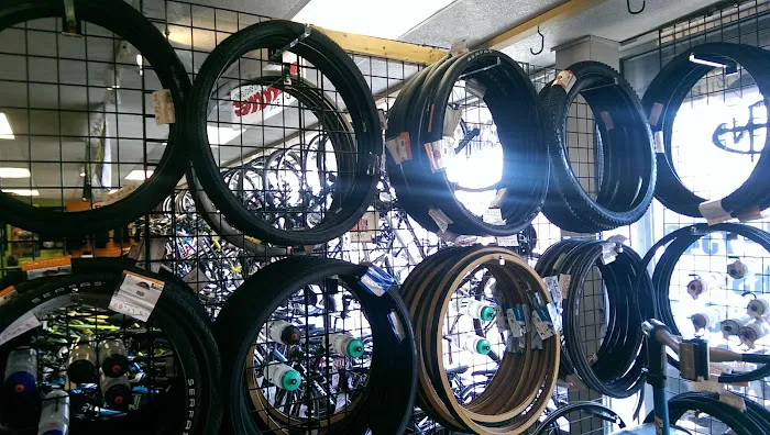 Liberty Bell Bicycle Picture 1