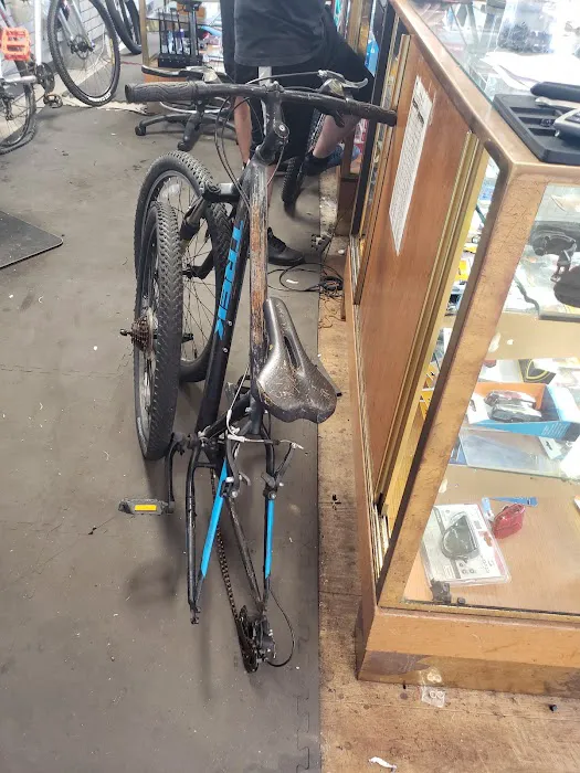 Liberty Bell Bicycle Picture 7