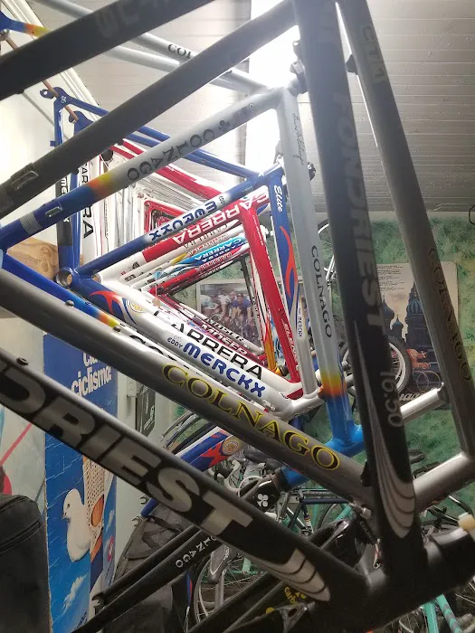 Wheelfine Imports Pro Bike Shop Picture 2