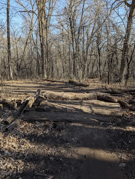 Lebanon Hills Mountain Bike Trail Head Picture 5