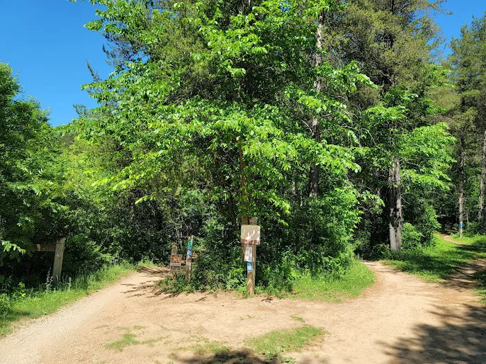 Lebanon Hills Mountain Bike Trail Head Picture 8