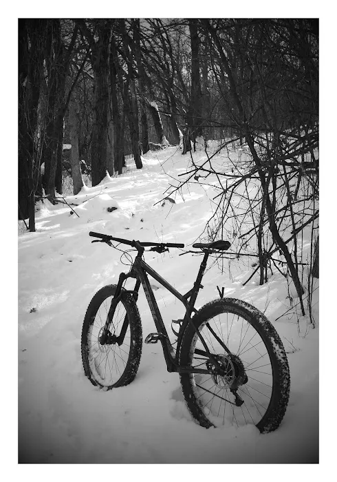 Lebanon Hills Mountain Bike Trail Head Picture 10