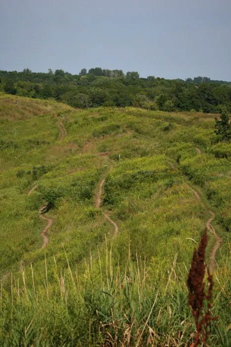 Hawk's Ridge Mountain Biking Course Picture 2