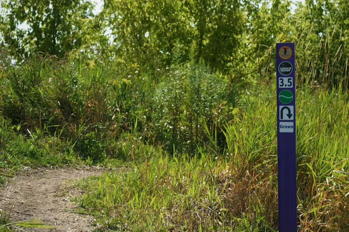 Hawk's Ridge Mountain Biking Course Picture 7