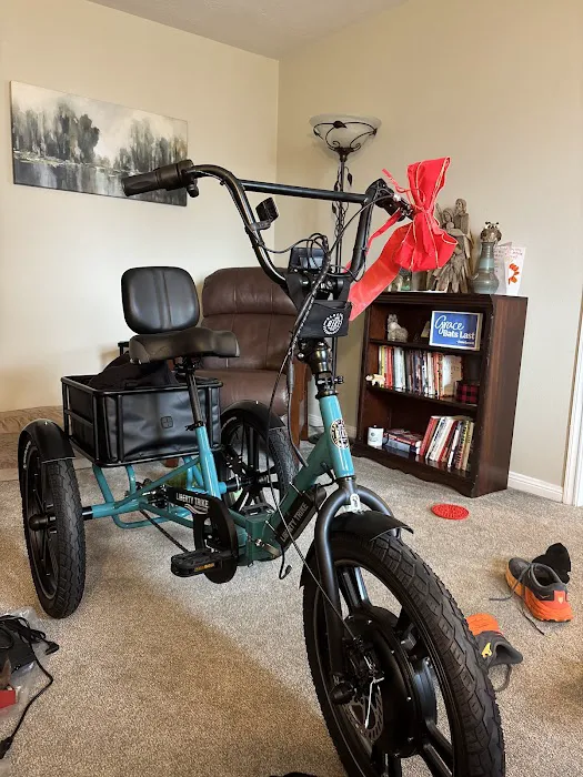Electric Trike Picture 2