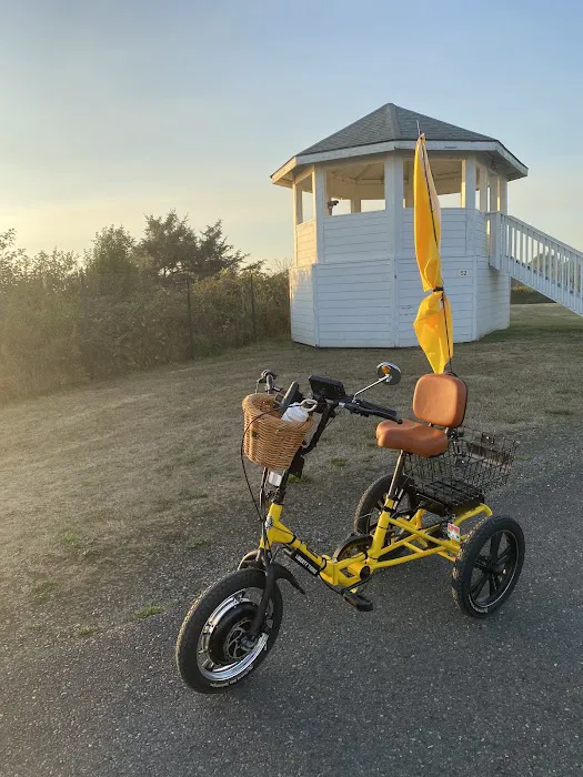 Electric Trike Picture 10
