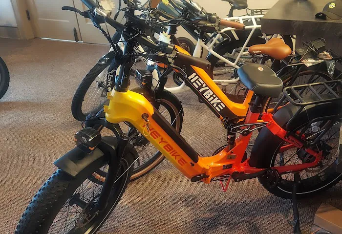 E-Bike Guys of PA Picture 3